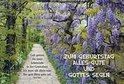 Ruth Heil - Faltkarte: Zum Geburtstag alles Gute Faltkarte: Zum Geburtstag alles Gute
