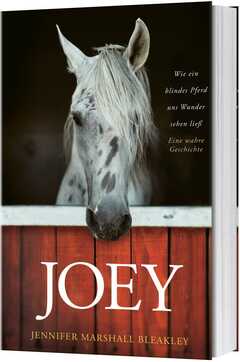 Joey - Wie ein blindes Pferd uns Wunder sehen ließ