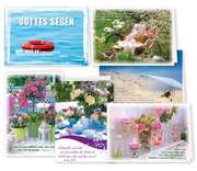 Faltkarten gemischte Motive - 6er Set Faltkarten gemischte Motive - 6er Set