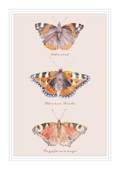 Postkarte - natur-verliebt "Schmetterling"