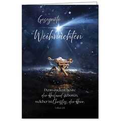 Faltkarte: Gesegnete Weihnachten Lk.2,11 Faltkarte: Gesegnete Weihnachten Lk.2,11