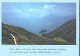 Postkarte "Teeplantage in Munar" - 5 Stück