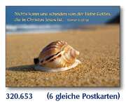 Postkarten Muscheln, 6 Stück Postkarten Muscheln, 6 Stück