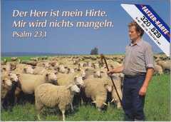 Postkartenserie Grossdruck Schafe