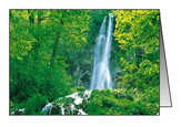 Faltkarten Wasser, 5 Stück Faltkarten Wasser, 5 Stück