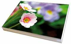 Faltkartenbox Frühlingsblumen, 4 Stück