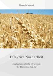 Riccardo Meusel - Effektive Nacharbeit Effektive Nacharbeit