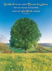 Postkarten: Weisheit ist der wahre Baum des Lebens, 4 Stück