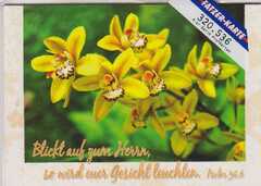 Postkarten Orchideen - 6 Stück